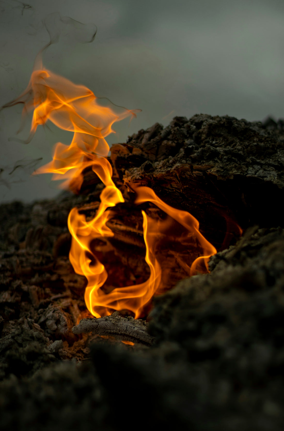 close-up photo of fire