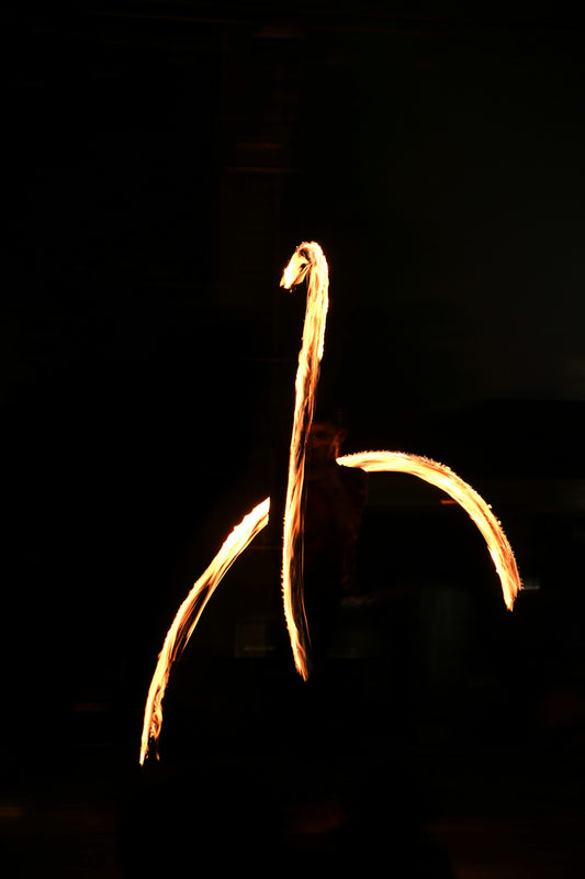 a close-up of a light bulb