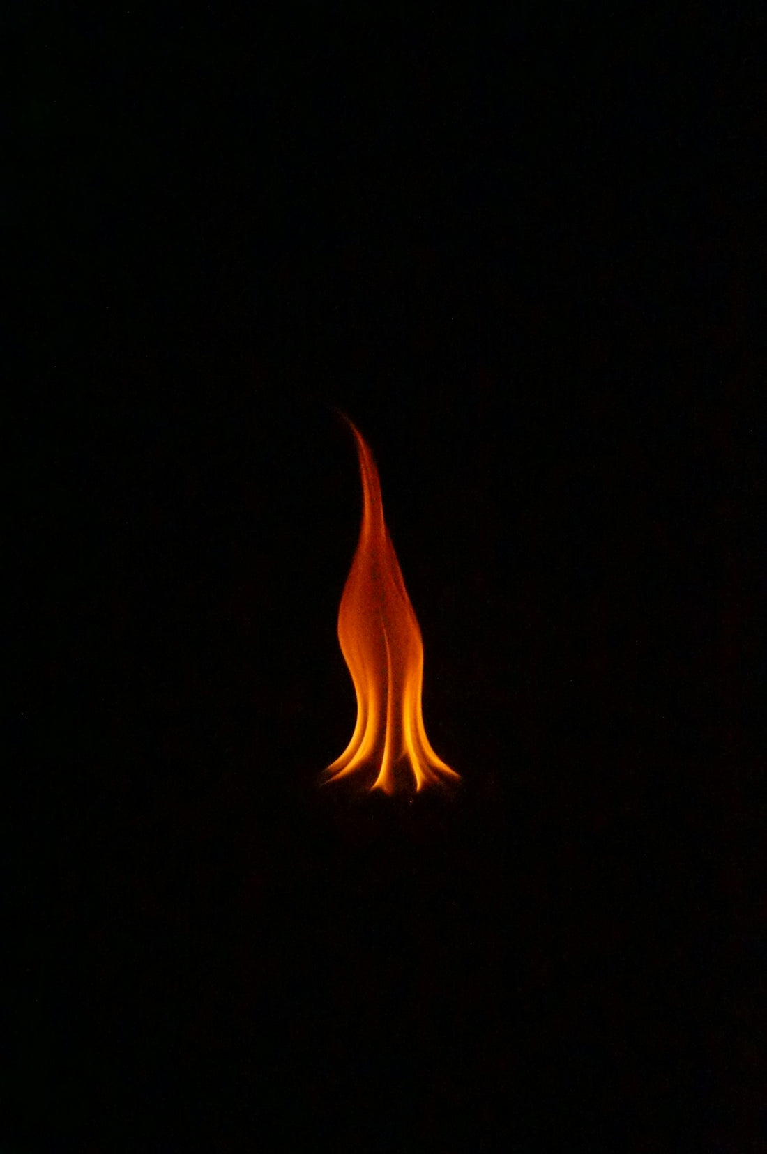 A single flame burns brightly against black
