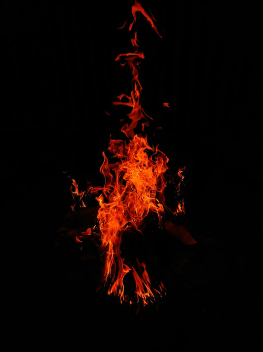 Flames dance against a stark black background.